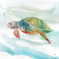 Carol Robinson - Turtle Tropics II