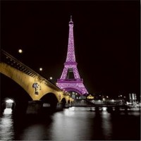 Anne Valverde - Paris Eiffel Tower - Lady in Pink