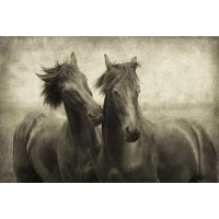 Lars Van De Goor - Horses Don't Whisper,They Just Talk 