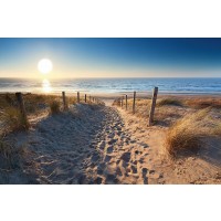 Beach - Dune Path