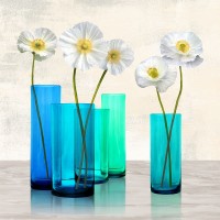 Ann Cynthia - Poppies in crystal vases (Aqua I)