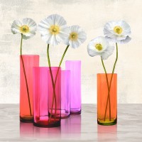 Ann Cynthia - Poppies in crystal vases (Purple I)