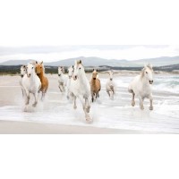 Zero Creative STUDIO - Horses on the beach