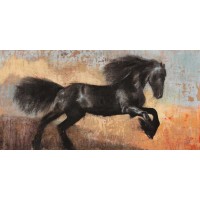 Dario Moschetta - Black Stallion