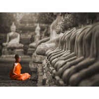 Pangea Images - Young Buddhist Monk praying, Thailand (BW)