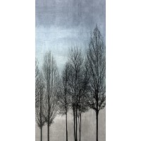Kate Bennett - Tree Silhouette III