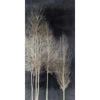 Kate Bennett - Silver Tree Silhoutte I
